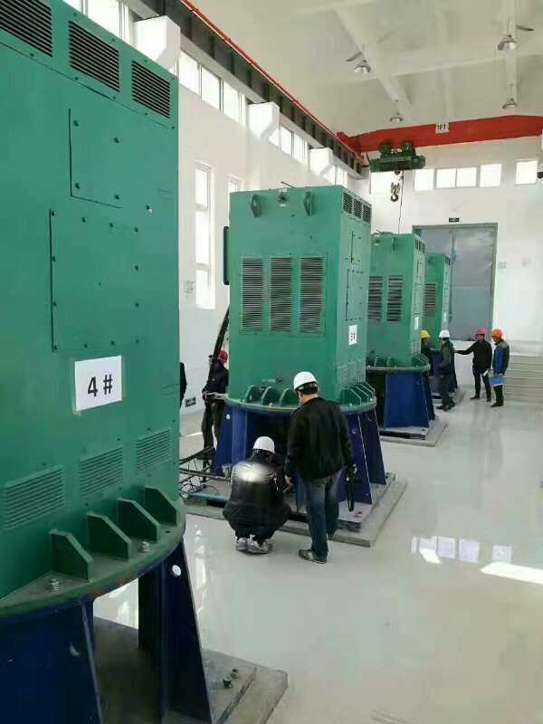 YR6302-8/1000KW某污水处理厂使用我厂的立式高压电机安装现场