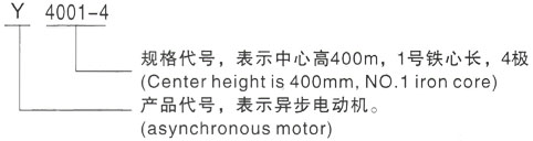 西安泰富西玛Y系列(H355-1000)高压YR6302-8/1000KW三相异步电机型号说明